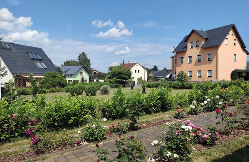 Kurort Gohrisch Apartment | Peaceful paradise & romance: cozy vacation apartment