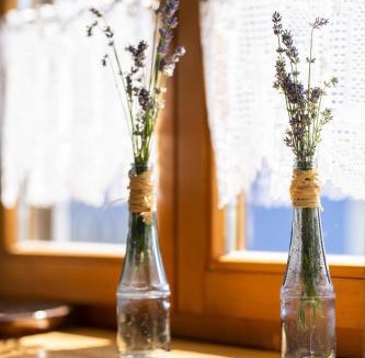 Tannesberg Apartment | Pension Ferienwohnungen Frey