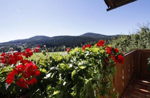 Bodenmais House | Pension Schuasterhof
