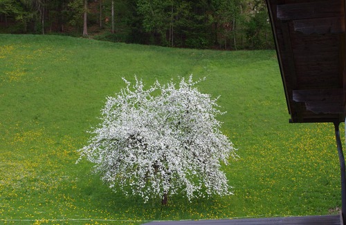 Helfenstein Ski Chalet | PERFECT HIDEAWAY House of nature - a luxury Chalet in a very idyllic area