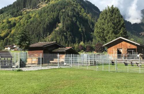 Bichlbach Apartment | Pony-Ziegen-Hasen-Ranch Bichlbach
