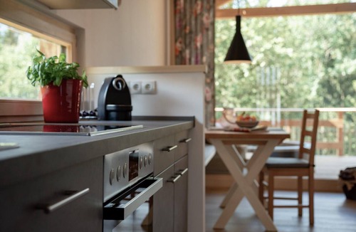 Regen Apartment | Premium Forest Chalet with a Heated Hot Tub and Private Sauna