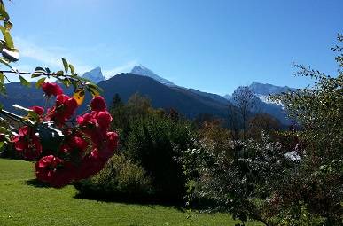 Oberschonau Resort | Private room ∙ 1 guest