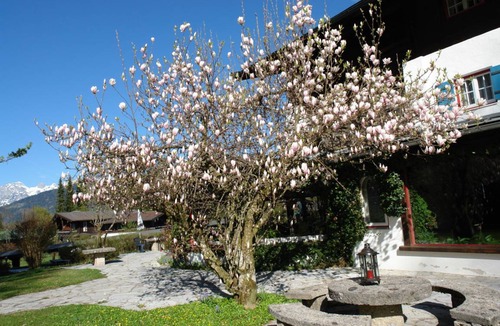 Oberschonau Resort | Private room ∙ 4 guests