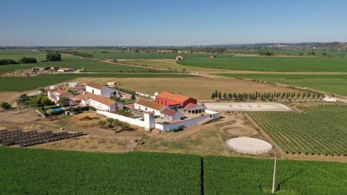 Almeirim House | Quinta da Gafaria