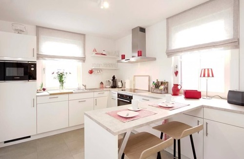 Gross Schwansee Cottage | Red kite, Germany