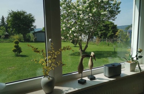 Meschede Apartment | Relaxation in nature