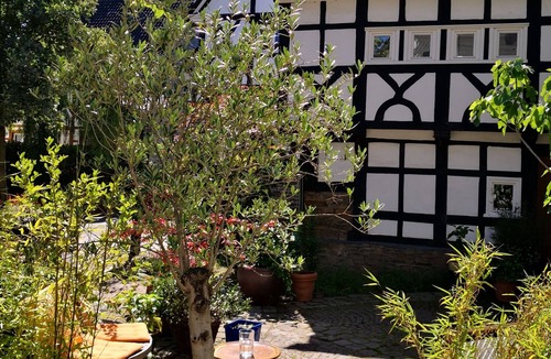 Alt-Wetter Apartment | Rental-Comfort-Private Bathroom-Garden view-Alte Schmiede