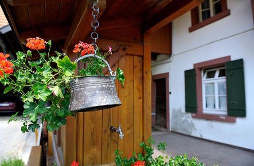 Zell am Harmersbach Apartment | Riehle Hof