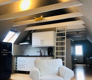 Herzogenaurach Apartment | Riverview Loft in Central Herzogenaurach