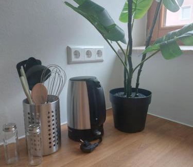 Neu-Ulm Apartment | Rooftop Apartments - Stillvolles Apartment 4P nahe Glacis Center