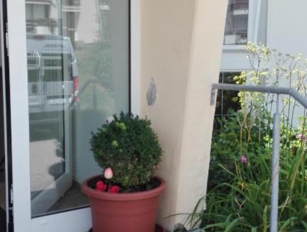 Scheidegg Apartment | Rosenalm Appartment 231