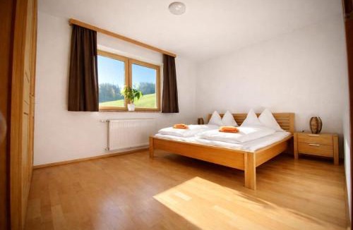 Sankt Blasen Apartment | Salzleckerhof