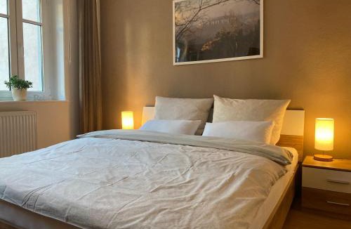 Koenigstein Apartment | Sandstein-Ferien, FeWo "Biela", gemütlich, zentral, Gemeinschaftsterrasse im EG, familienfreundlich