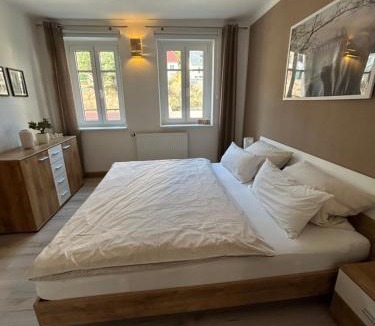 Koenigstein Apartment | Sandstein-Ferien, FeWo "Biela", gemütlich, zentral, Gemeinschaftsterrasse im EG, familienfreundlich