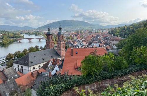 Miltenberg Apartment | schönes Studio für Ihren Kurzurlaub in Miltenberg