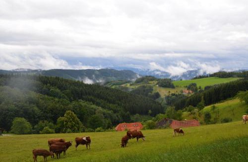 Oberwolfach Apartment | Schornhof