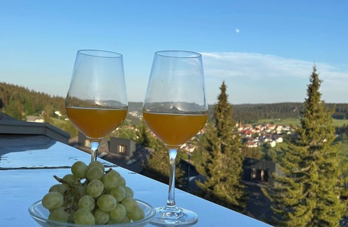 Schonach im Schwarzwald Apartment | "Schwarzwaldtraum" Vacation Rental – Duplex with Two Terraces & a Panoramic Balcony in the Black Forest