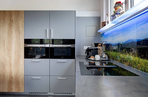Hofsgrund Apartment | Schwarzwald Flair Apartment with Event Room, Private Terrace & Wi-Fi