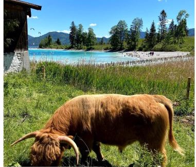 Kochel am See Apartment | Seeblick Apartment am Walchensee