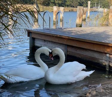 Seedorf House | Seedorf Hideaway, Reethaus mit Garten und Privatsteg, Kamin, Sauna und Hot Tub