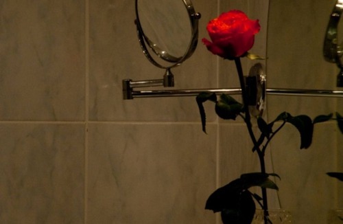 Rottach Apartment | Single room I - Guesthouse Zibert