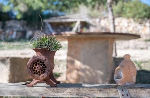 Petra Villa | Son Pusseta