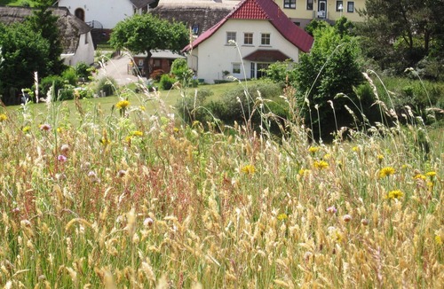Thiessow Apartment | Sonnige Fewo in Klein Zicker - nur 2 Min. zum Strand We9643 - Ferienwohnung Andreas Nitsch