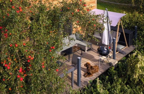 Buhlau House | Spacious tiny house with a large terrace, ideal for families – Last Minute