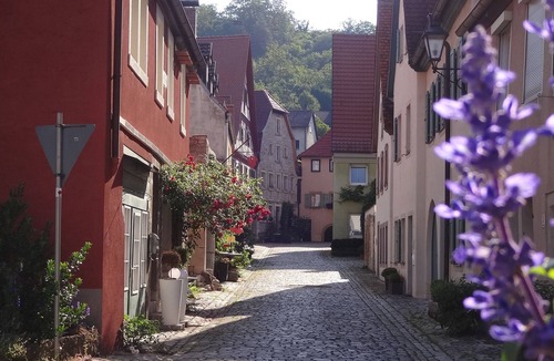Sommerhausen Apartment | Spacious vacation apartment "Main Sommerblick" - magnificent view over the Main valley