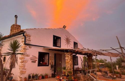 Vilanova d'Alcolea Other | StarGate Tepee in Permaculture Paradise at WILDSPIRIT Eco Farm
