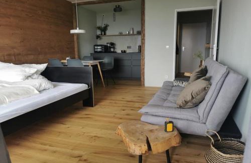 Geyersberg Apartment | Sternstube – Appartement mit traumhaftem Weitblick