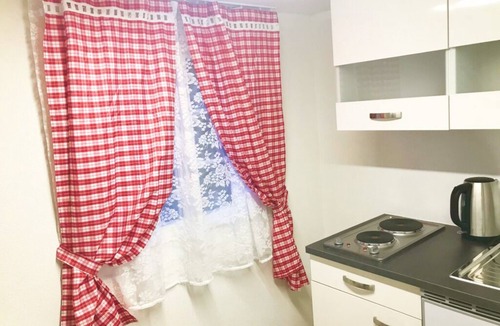 Gsteigwiler Apartment | Studio in Alps (15 min to Grindelwald ski resort/No Parking)