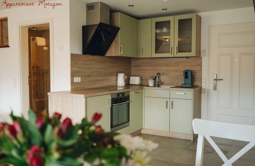 Bad Krozingen Apartment | Studio-Standard-Private Bathroom-Balcony