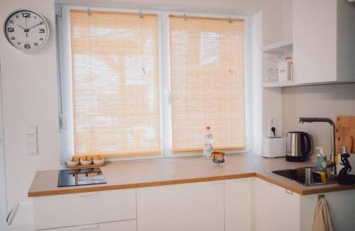 Teublitz Apartment | Suite 13 Loft mit Terrasse