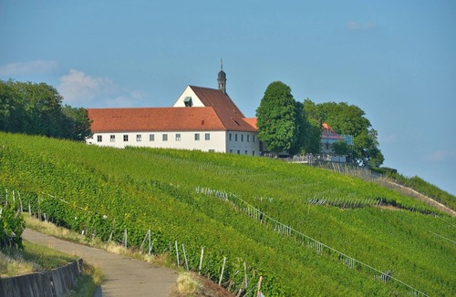 Volkach Apartment | Superior double room (20-25sqm) with side vineyard view and breakfast buffet