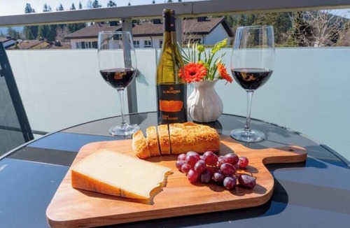 Titisee-Neustadt Apartment | T8 3-room 2-BA comfort family apartment
