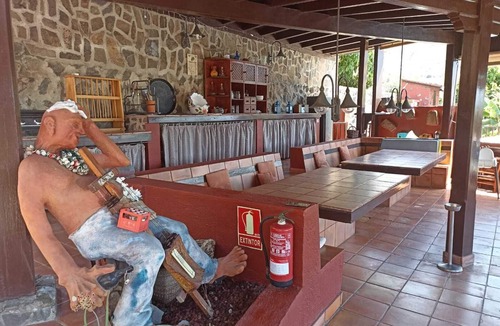 Icod de los Vinos Villa | The Palm Villa: A Canarian Oasis in Icod de los Vinos.
