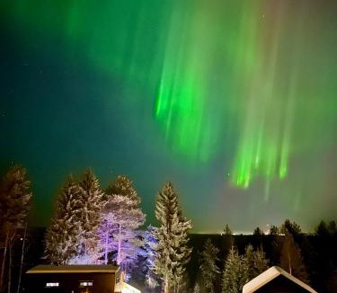 Rovaniemi House | The Saunacabin Enchanted Lapland