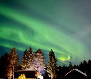 Rovaniemi House | The Saunacabin Enchanted Lapland