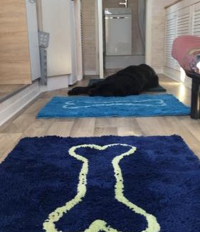 Pettstadt House | Tinyhouse Bamberg