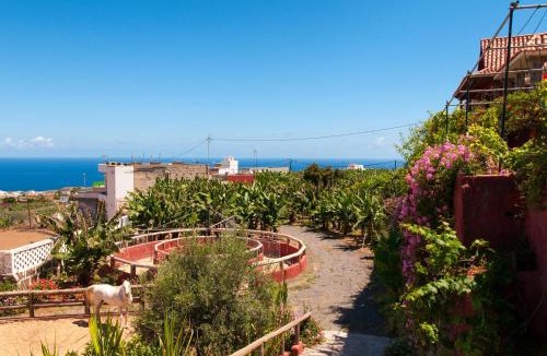 Arucas Villa | Traditional Arucas by VillaGranCanaria