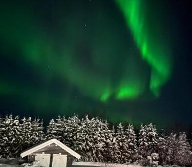 Rovaniemi House | Treeline Cottage