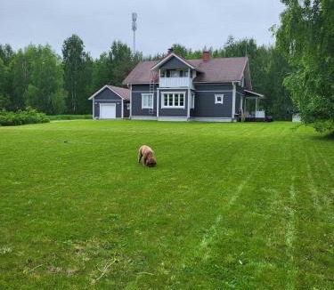 Rovaniemi House | Treeline Cottage