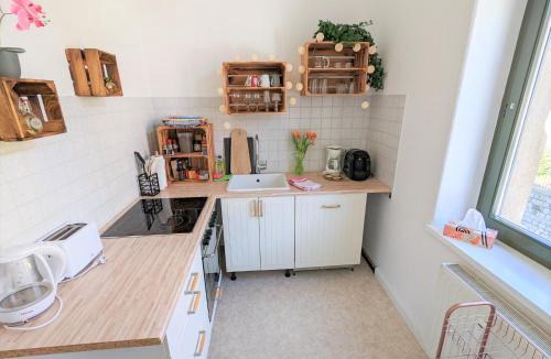 Sebnitz Apartment | Urlaubsmagie - Ferienwohnung Uferhang - Sauna & Saisonaler Pool - UO1