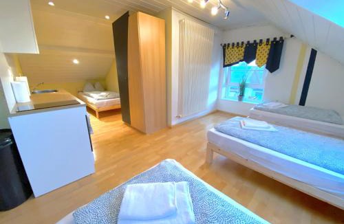 Oberteisbach Apartment | V Apartment 4 Personen - Monteurzimmer - Ferienwohnung - Kronwieden
