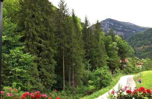 Weissbach an der Alpenstrasse Apartment | Vacation apartment in quiet centr. Location in the Berchtesgadener Land with unobstructed mountain views