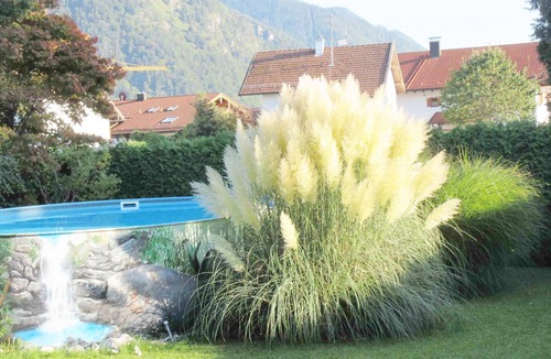 Reifing Apartment | Vacation apartment 54 sqm, 1-3 pers., spacious terrace, swimming pool, sunbathing lawn