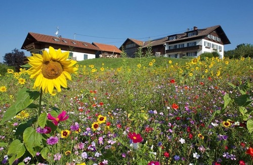 Attlesee Apartment | Vacation apartment/apartment for 3 guests with 53m² in Nesselwang (311906)