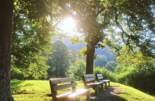 Neuhaus Apartment | Vacation apartment/apartment for 2 guests with 60m² in Schliersee (315243)